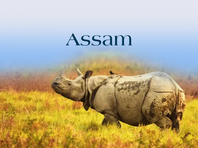 Assam
