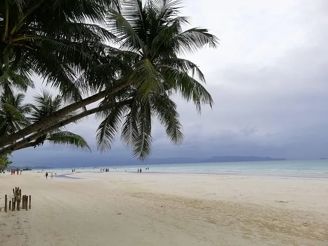 Boracay Tropical Escape